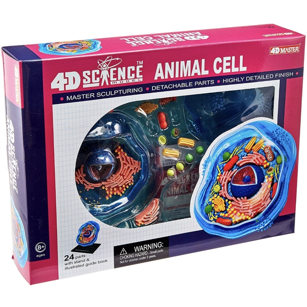 4D-Science Animal Cell Anatomy Model